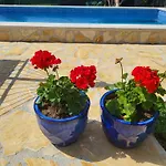Radini With A Private Heated Saltwater Pool And Private Parking Willa Brtonigla