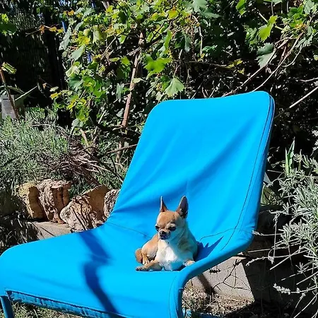 Villa Radini With A Private Heated Saltwater Pool And Private Parking Brtonigla