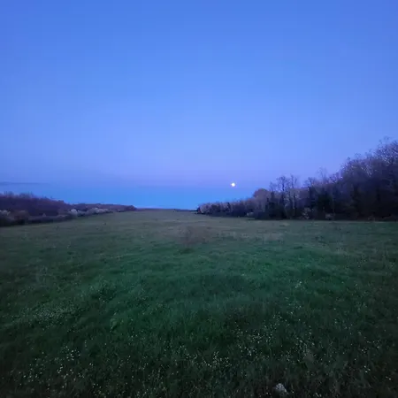 Radini With A Private Heated Saltwater Pool And Private Parking * Brtonigla