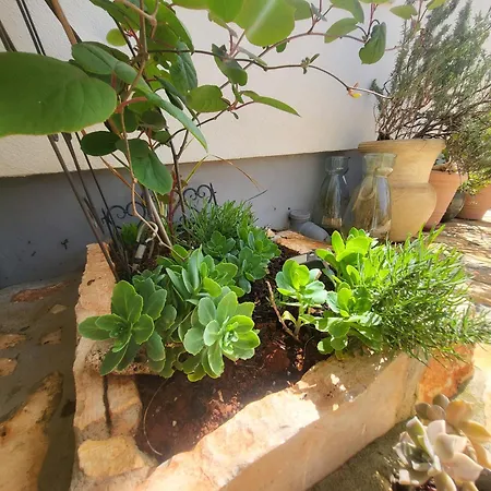 Radini With A Private Heated Saltwater Pool And Private Parking *