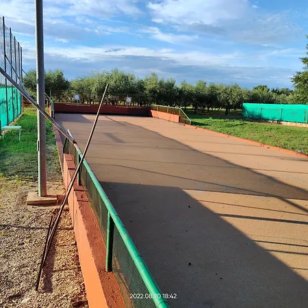 Radini With A Private Heated Saltwater Pool And Private Parking * Brtonigla