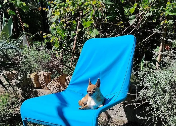 Vila Radini With A Private Heated Saltwater Pool And Private Parking Brtonigla