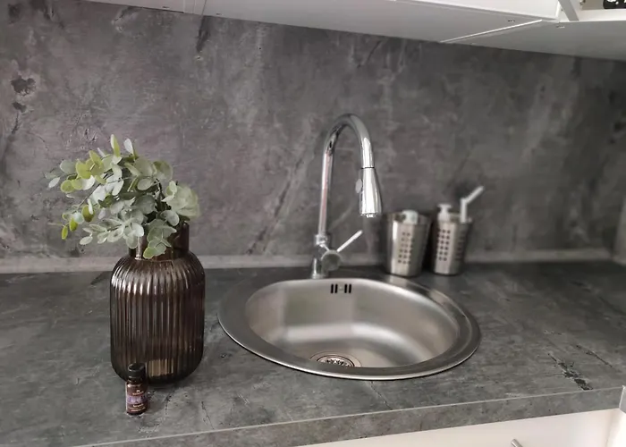 Radini With A Private Heated Saltwater Pool And Private Parking * Brtonigla