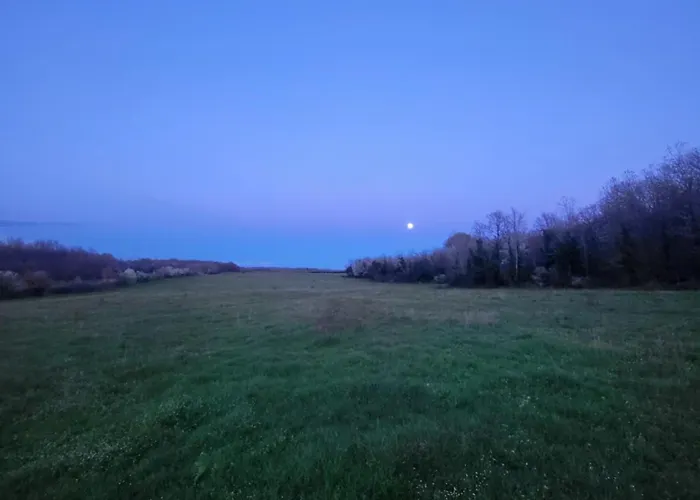 Radini With A Private Heated Saltwater Pool And Private Parking * Brtonigla