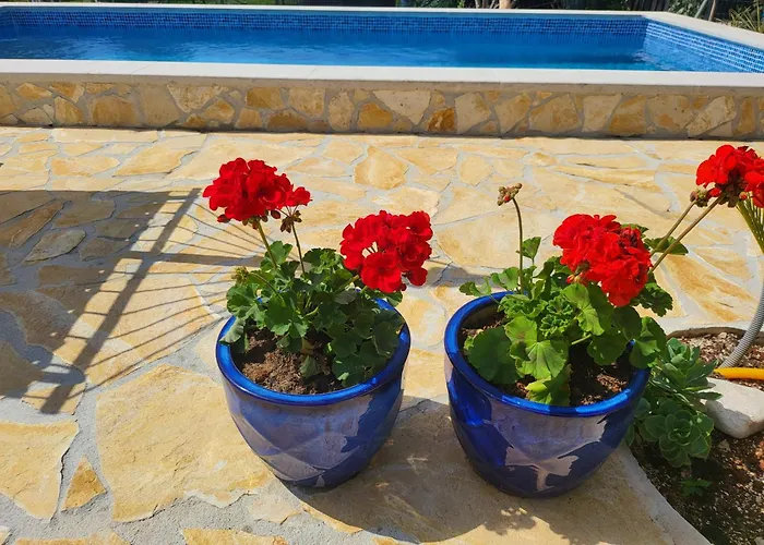 Radini With A Private Heated Saltwater Pool And Private Parking Vila Brtonigla